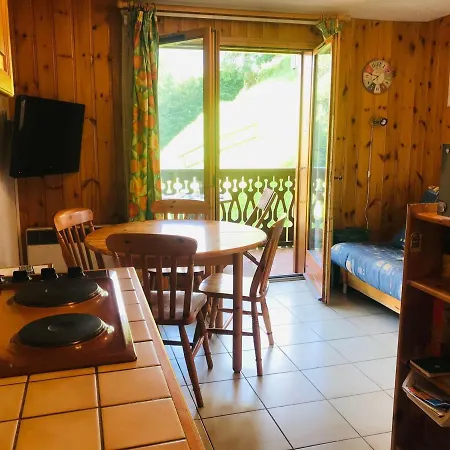 Confortable Avec Balcon, Animaux Acceptés, Centre - Fr-1-629-90 *
